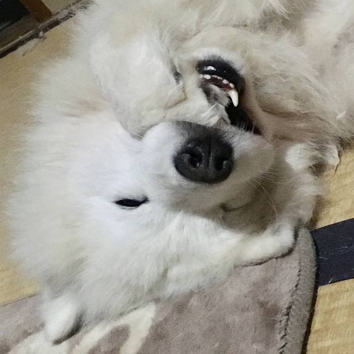 4292d336 a23a 4421 8ce6 21eb588279d9 1544795786643