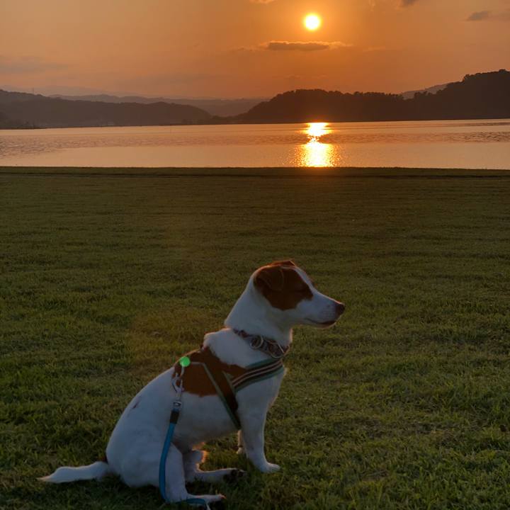 429329b7 3f3a 4c35 aa62 f2428505bad8 1602577738175