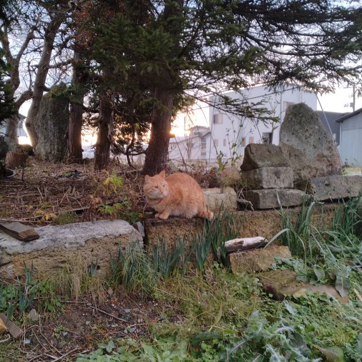 429337b4 6e3b 4684 8685 3daf583c4482 1670797573785