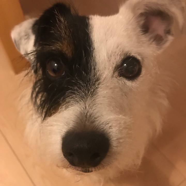 42933b91 85fd 48df 9d2d 8c2d997ee6d7 1531835569053