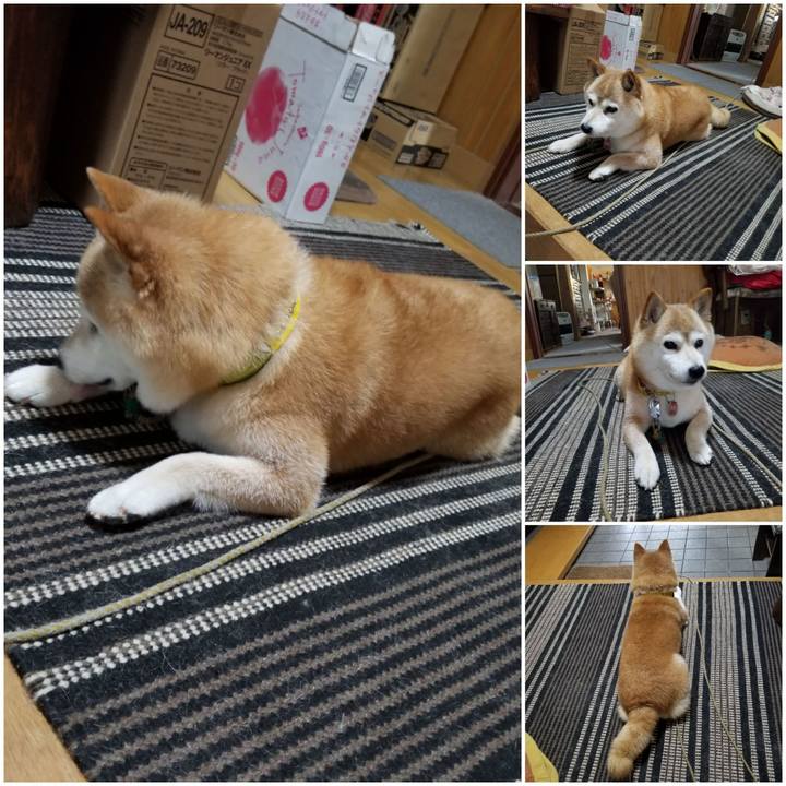 4293518c 456b 4cf7 9e1c f997839eb50b 1689125768661