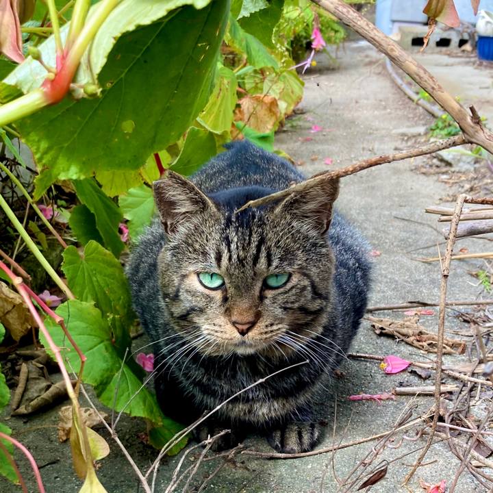 4293751b ebbf 4389 b875 4e9e746a48e4 1633316420734