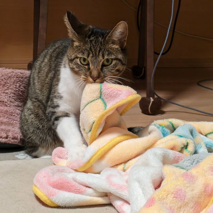 4293791d 8a86 47da 8b74 61b1a0349a54 1700047577191