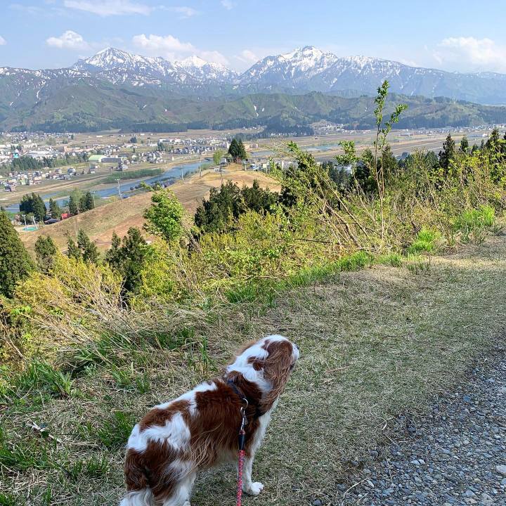 4293c76f 4550 4362 a99d 4ff65fa1d701 1619906017403