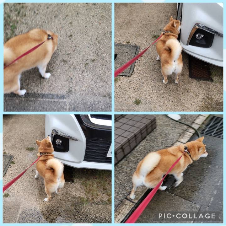 4293d21a ccb3 4d10 85d1 c9fa64ad3269 1758754326495