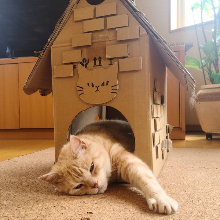 4293e86d 79bd 453c 8649 d24f9ffd460e 1655695662824