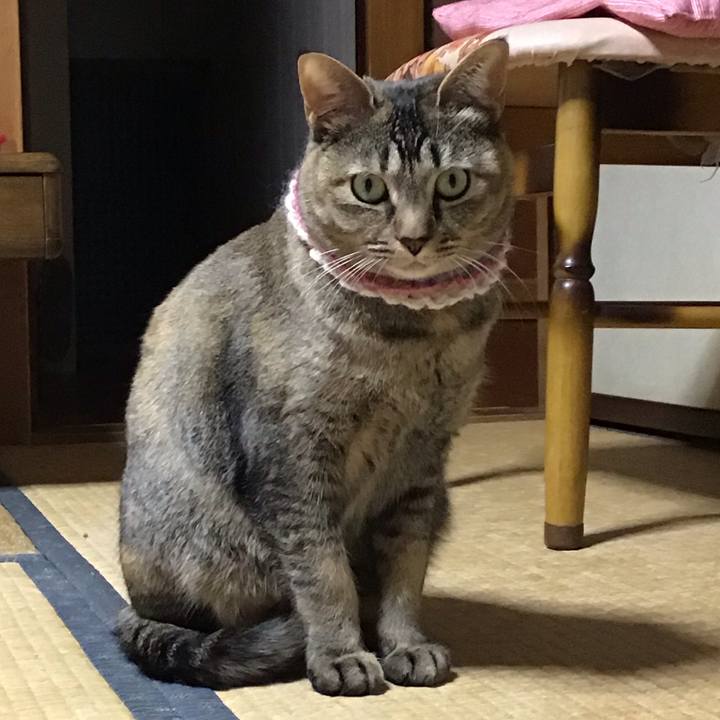 4294120b 287f 4ac2 aaf7 7de35ddbd389 1617970233422