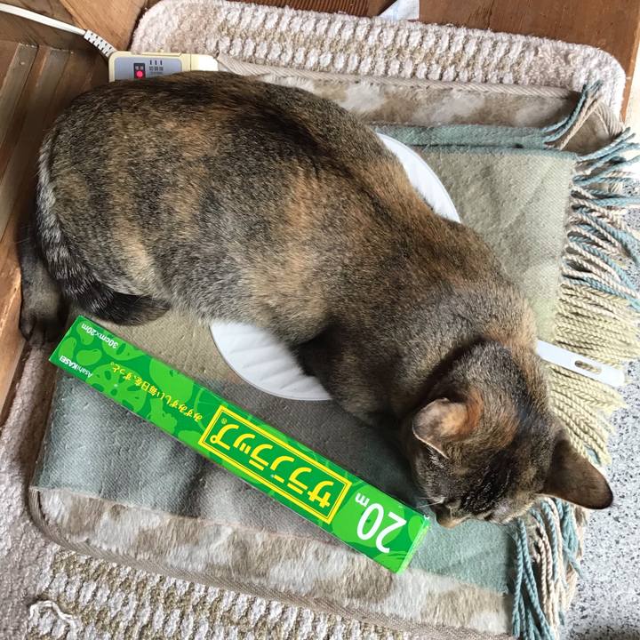 42941ceb 1f61 4116 85cf 667538f528a8 1585043569486