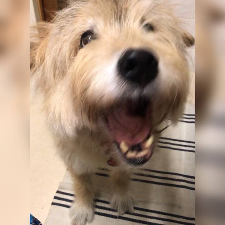 42944434 dc82 4d69 94df 71bf9f7e36ef 1634003961579