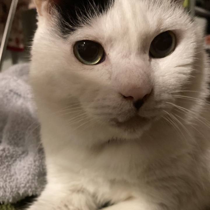 4294791f bf43 41fb b437 1841446f9f77 1606042749744