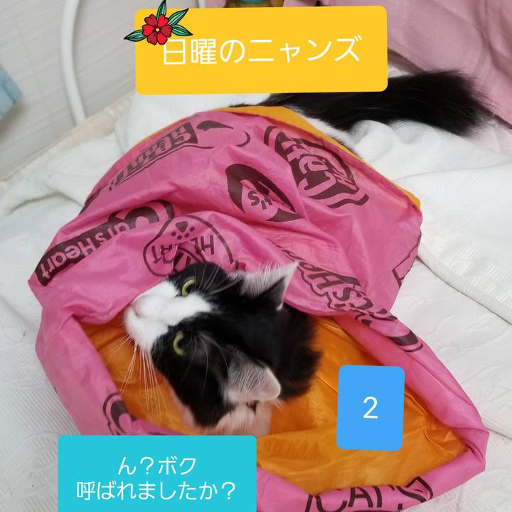 42948457 f875 4500 94f8 cb277680a397 1544954422530