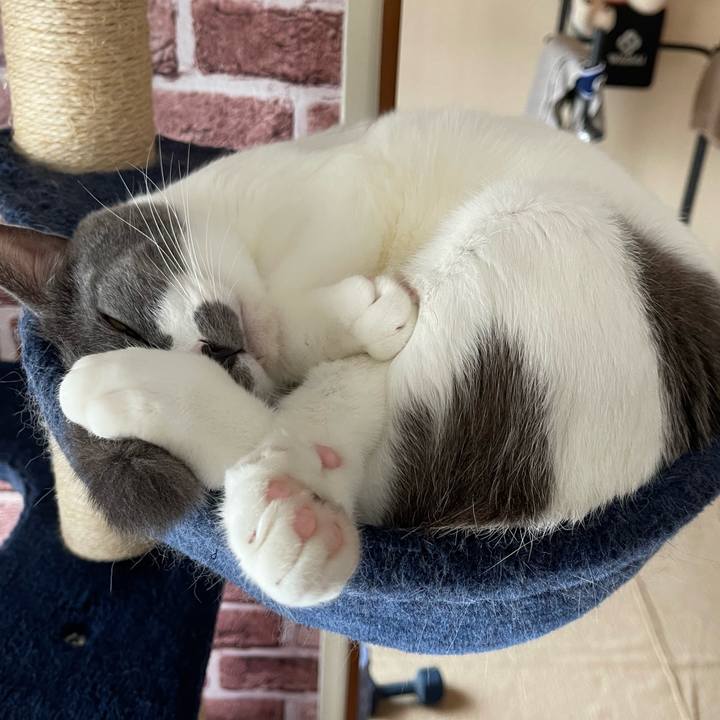 42949442 ca69 409e 9306 99d7e9e08231 1662165109306