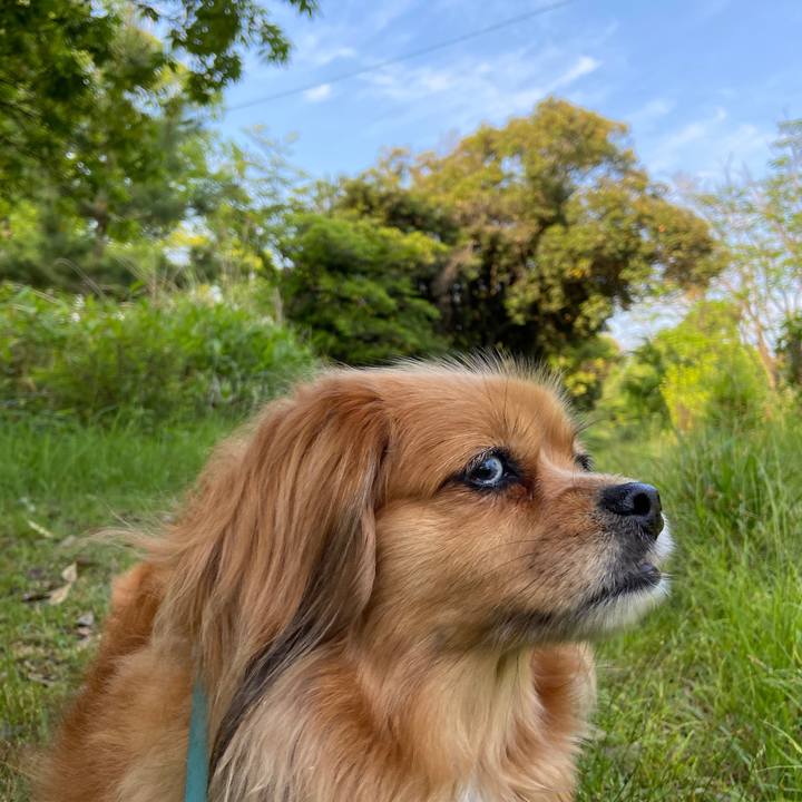 42949c8e e774 457f 846f 99c2e7335c23 1653427546812