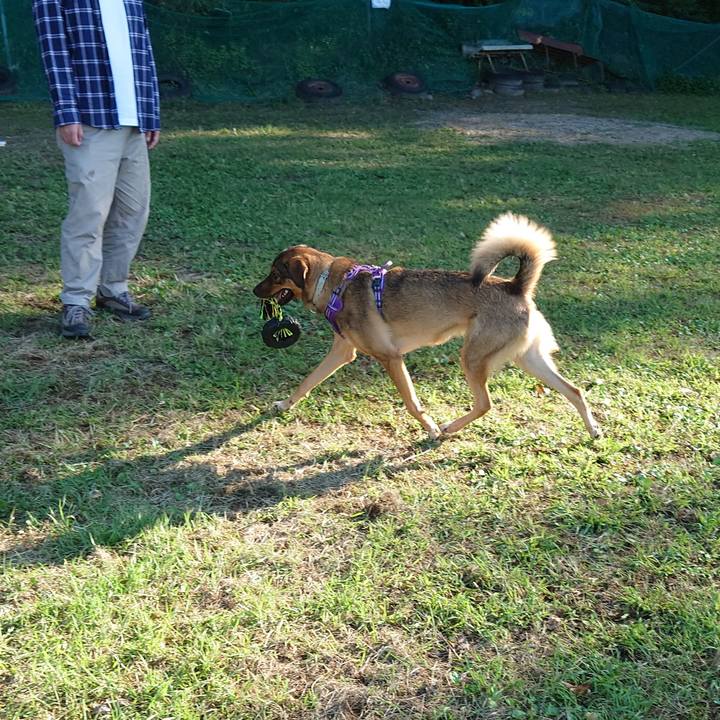 4294b28d 145c 4dbd b5e0 45a7ddb18edf 1728712423937