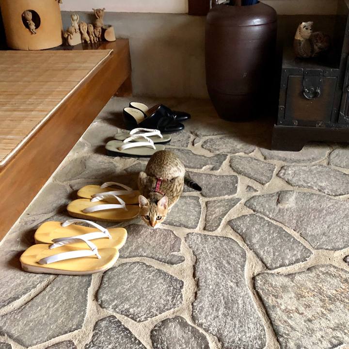 4294c556 1702 4563 b2b7 d41d525ad120 1581039468825