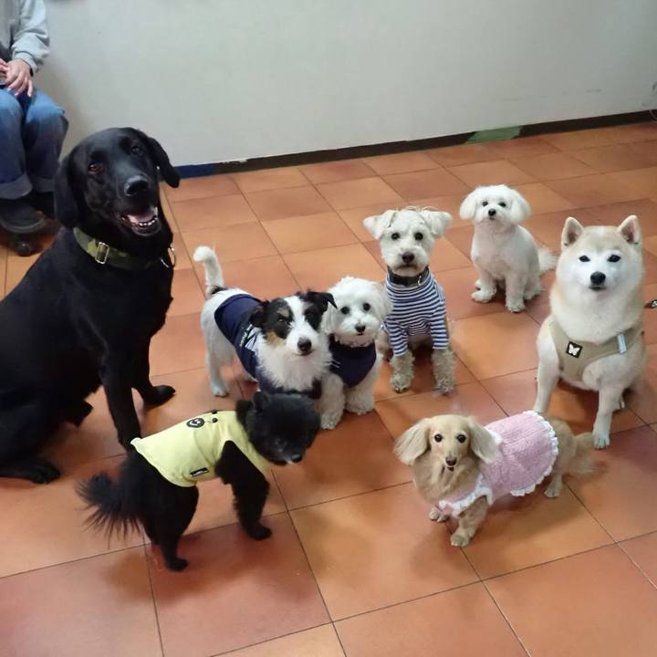 4294df51 22f9 411a aada a0627c5c024d 1740940628908