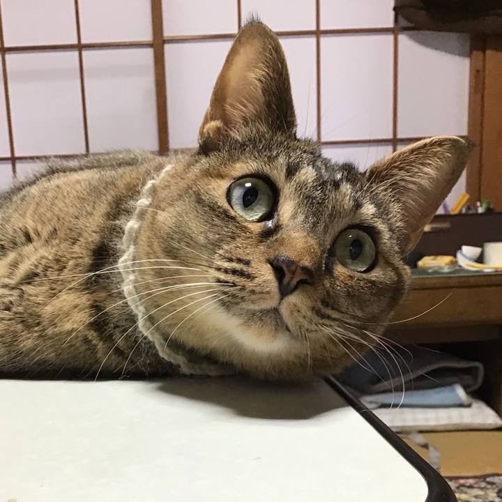 429512a1 0ab2 4aaa 8f5f 297b5fd75f86 1647902981036