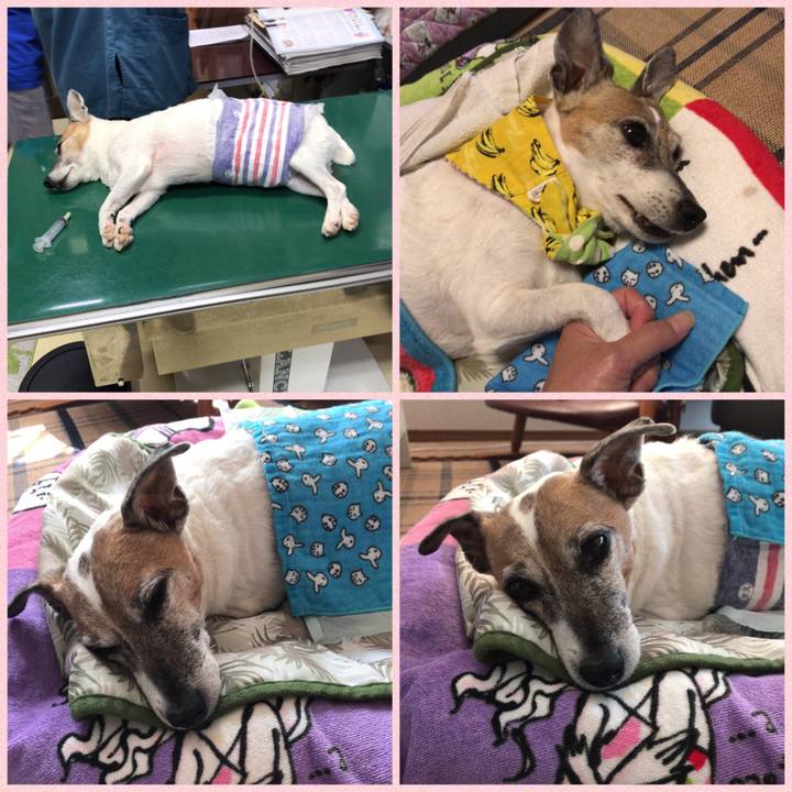 42952c3d 3a6c 4ee3 adc5 550c52031731 1532567998382