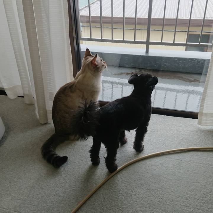 429564cd 4665 4196 acf0 2241237768d0 1574554273079