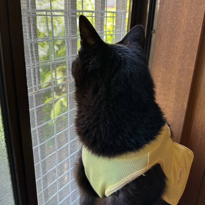 429564fa 80ae 47d4 9001 9af293efd513 1717034643234