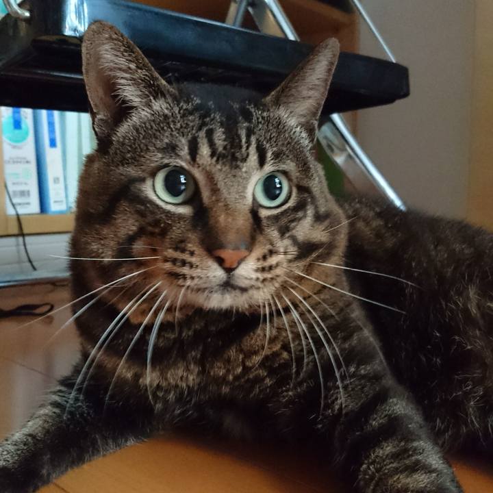 42956e8d 1bc6 42c7 9d0c 74d7d32b73bb 1536183495636