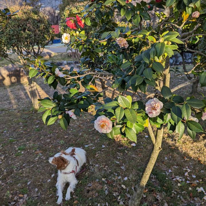 429593e1 15bb 4223 a965 b9e1b57e6907 1677755986346