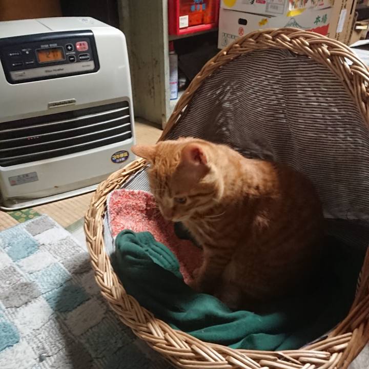 4295a1ce 9fe0 4037 82a6 437127ec72cd 1642283111514