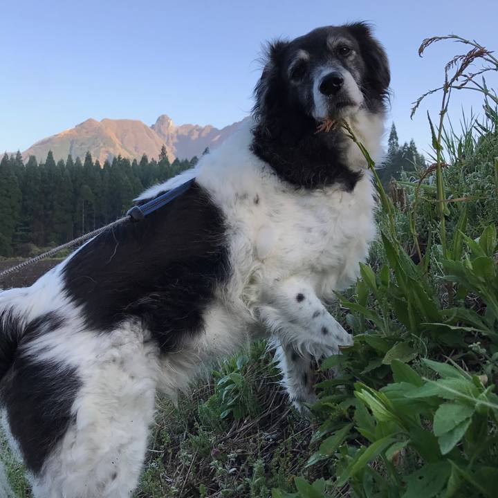 4295bafa bb85 4465 8e73 886525950bfd 1524054752605