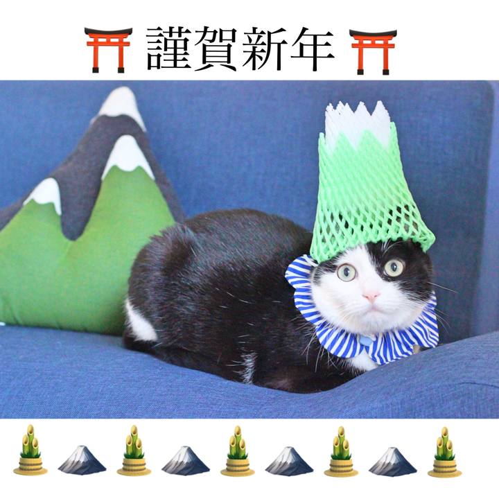 4295c0ca 7653 4ea1 8e11 6ffbe18c44ec 1577887948763