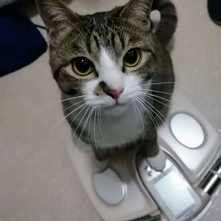 4295c67c 5d38 4958 bc85 0bd1cfc5107c 1677793089946