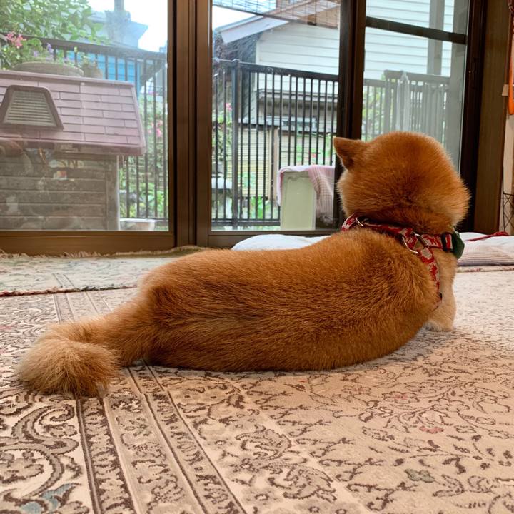 4295d50c 8c78 4310 a5bb 45aa4c5a4a1a 1594113200627