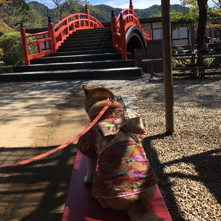 4295ee77 b270 4bfe 9970 cb05bd83466b 1570245098281