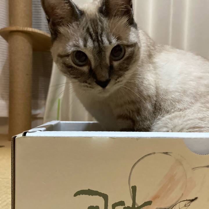 429617d5 3601 47c9 ac65 c27663c5ae6f 1596198298256