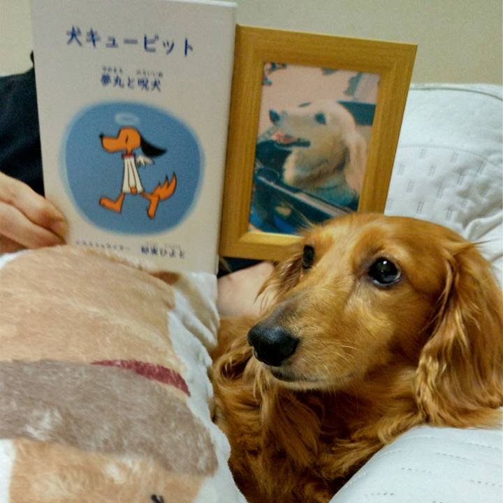 42963133 f8e8 44f4 8462 bcdb883b7670 1628770946426