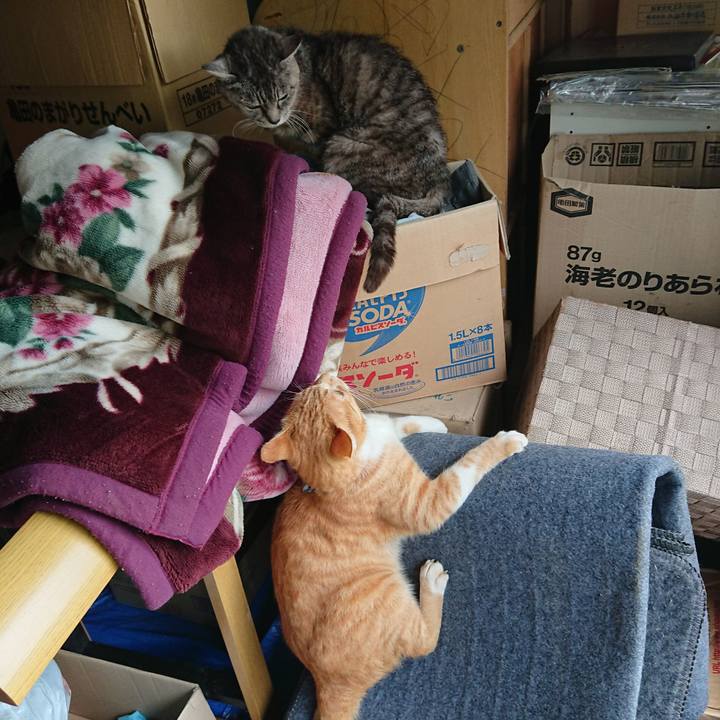 429668ac 7179 4921 8e42 1e3ea7067550 1570335569027