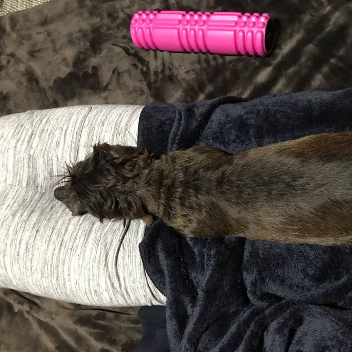 42969e0c e3cf 49d7 9e38 0846bf2e7d20 1544021181735