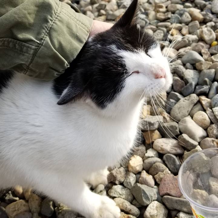 42969f2d b963 4657 9845 5072a39b1094 1571966955951