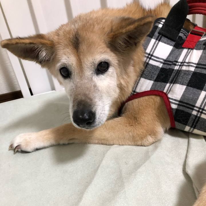 4296cfff 3d45 486a 8f4d f154faf77da7 1754318393780