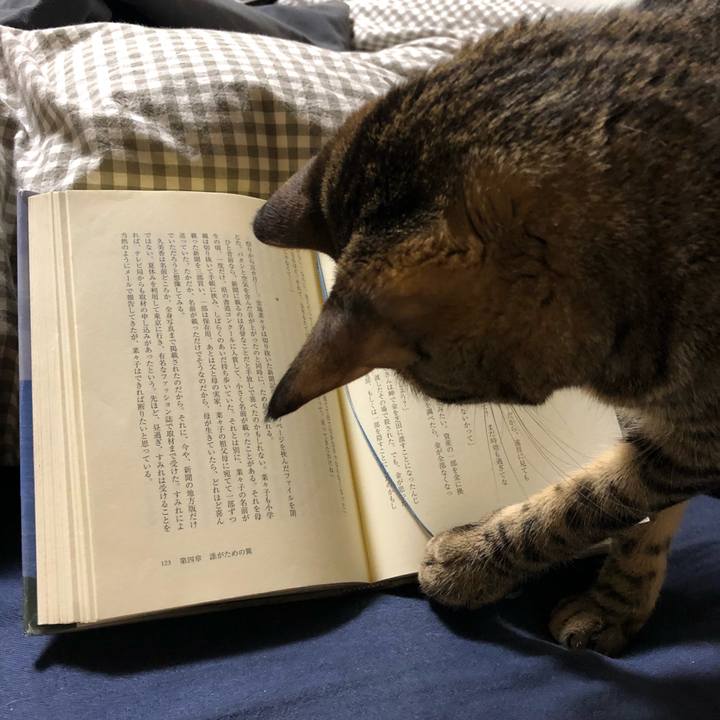 42970907 3548 419f b30e 63782dbd4d34 1515309098002