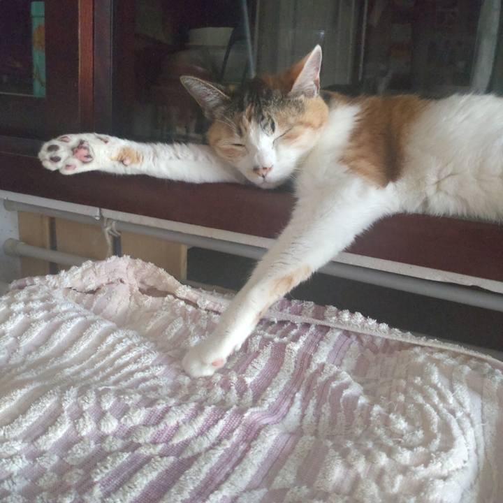 4297115c 896d 4301 8dda ba230ff6b90a 1714710992695