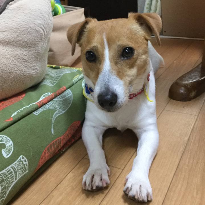 42973309 7274 406d 9ecc 535441d2bf86 1555402900564