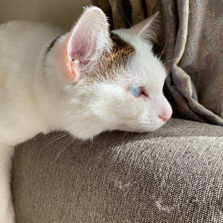 42978e3f 4735 4b0a a054 85e663436764 1613524200925