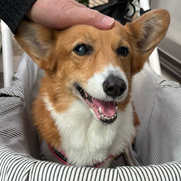 4297da31 117d 4e41 a559 24c78cc05bd7 1740883541678