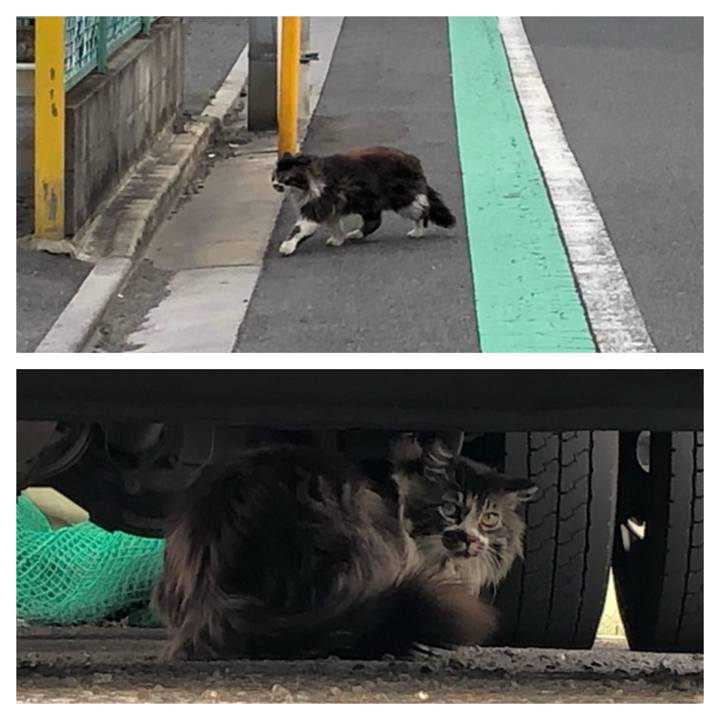 4297e0fc 5702 45ad 91ab 3cb808e30be5 1524730335401