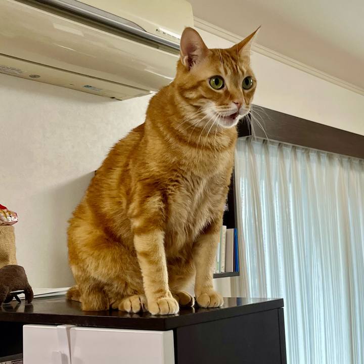 4297ea41 f6d5 4cfc 9c49 5ff832438f36 1645454736678