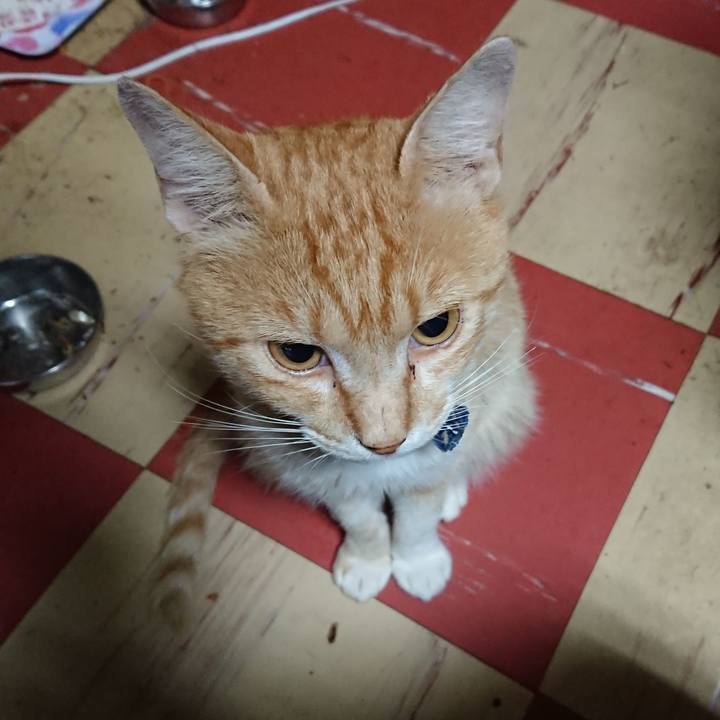 429805f7 0285 454e bf07 a714c00a0136 1561233441189