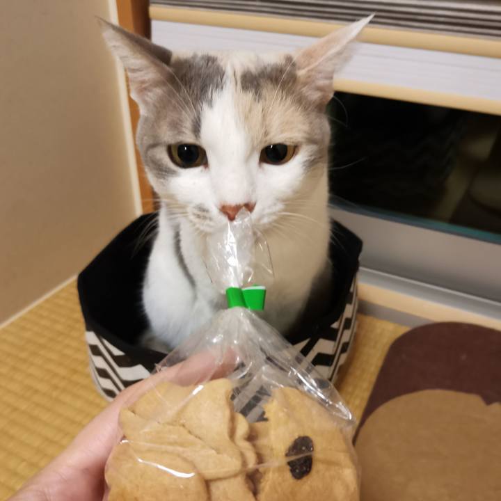 429834fa f072 4777 89d9 31a6670d0bd3 1605756689582