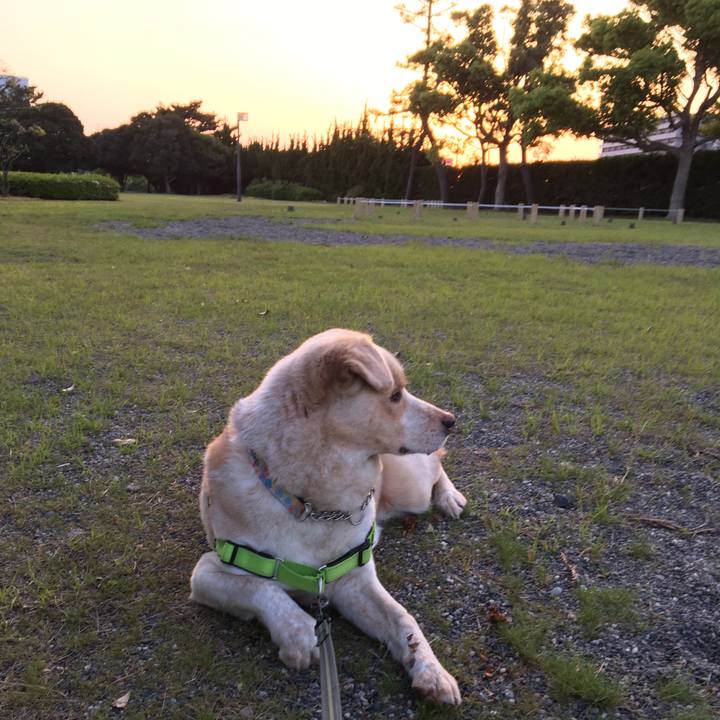 429840d3 6d1a 4799 afe8 55624a5c1844 1524911267199