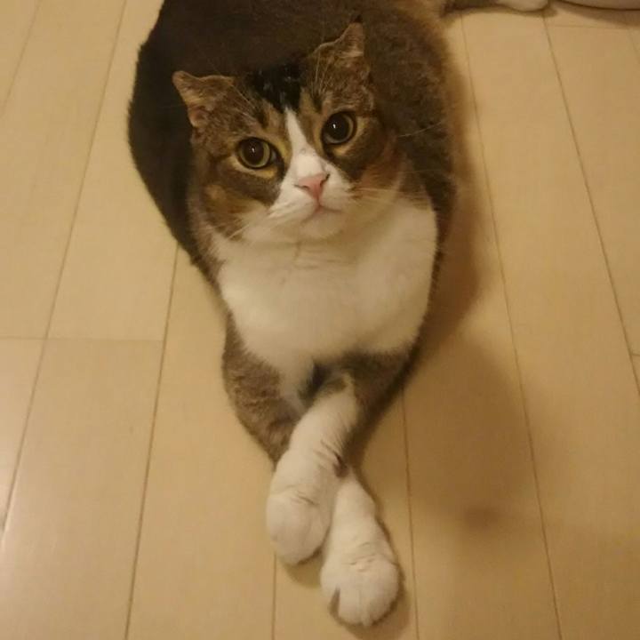 4298fffa ccaa 4ddf 87dd 6cb1990fed6f 1535373695782