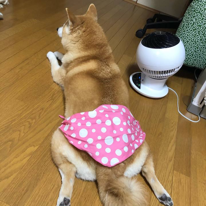 4299156e 5dd6 4194 b2c7 e0fae9efde50 1592354866588